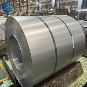 Prepainted Ppgi Z100 Cold Rolled Steel Coil/Color Coated Steel Coil/Galvanized Steel Coil for Building Material thumbnail-3