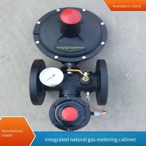 Rtq1000 Cng Gas Pressure Regulation and Metering Cabinet, Working Pressure 25 Mpa, Simple Structure, Customization Supported, Hongyi thumbnail-1