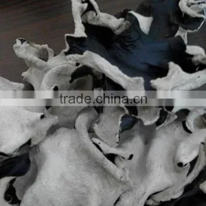 White Back Black Fungus With Lower Price thumbnail-2