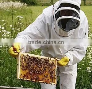 Beekeeping Suit With Veil thumbnail-1