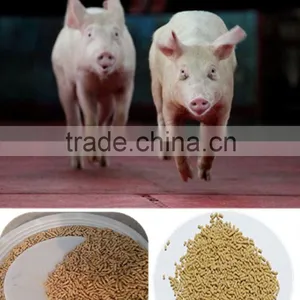High Quality Stainless Steel Mould Feed Pellet Making Production Machine thumbnail-6