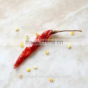 Dry Red Chilli thumbnail-5