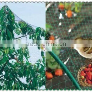 Agricultural Plastic Fruit Tree Netting thumbnail-1