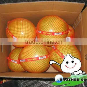 New Juicy Pomelo for Sale China Agruculture Fruit Pomelo thumbnail-1