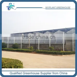 Sp-V-96-P Venlo Plastic Film Span Greenhouse thumbnail-1
