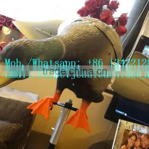 Hunting Plastic Mallard Motor Duck Decoy With Remote Control From Xilei Factory thumbnail-3