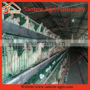 Chicken Use Welded Wire Chicken Layer Cages Chicken Cage Size thumbnail-4