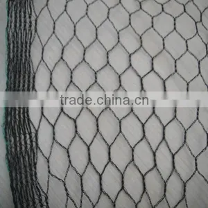 Hdpe Anti Bird Netting thumbnail-4