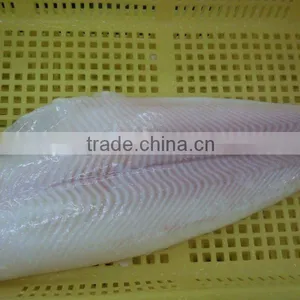 Frozen Pacific and Greenland Halibut Fillet thumbnail-1