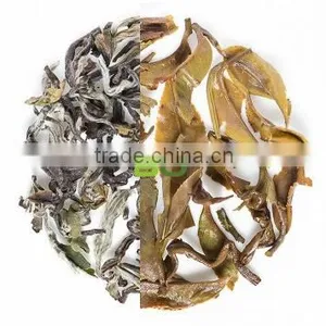 Bonville Organic Black Tea thumbnail-2