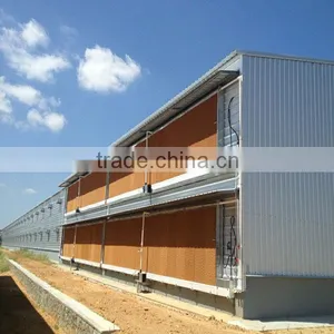 Chicken Farm Building Including Automatic Equipment and Chicken Shed thumbnail-1