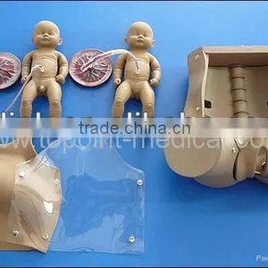 Birth Giving Model Medical Model Training Model thumbnail-2
