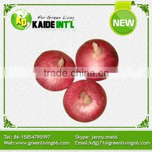 Popular Equipment Fresh Small Onion thumbnail-1