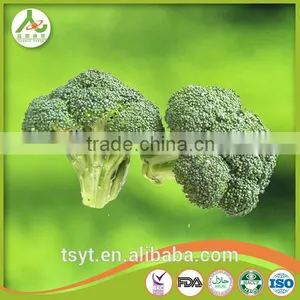 2017 China Iqf Frozen Broccoli Fresh Green Broccoli Frozen Broccoli Broccoli Powder thumbnail-2
