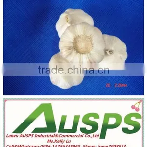 First Grade Fresh Pure White Garlic thumbnail-1