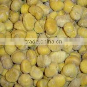 Raw Bulk Fresh Chestnut in Shell Crop New Grade aa thumbnail-1