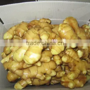 2015 New Crop Fresh Ginger, Air Dry Fresh Ginger, Chinese Fresh Ginger Price thumbnail-6