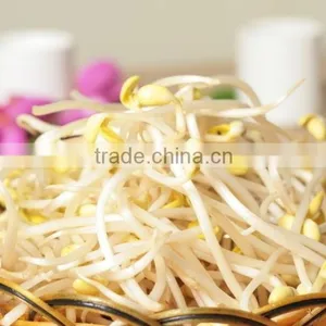 Bean Sprout Making Machine for Family thumbnail-2
