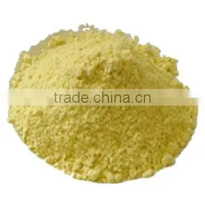 Dehydrated Ginger Ground thumbnail-1