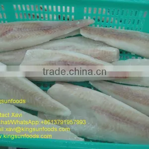 Wholesale New Frozen IQF Alaska Pollock Fish Fillet With Good Price thumbnail-3
