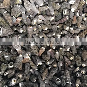 Chinese New Crop Dried Cultivated Morchella Conica Morel Mushroom thumbnail-1