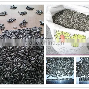 Sell SUNFLOWER SEEDS 5009, 6009, 363, 1121at Cheap Price thumbnail-3