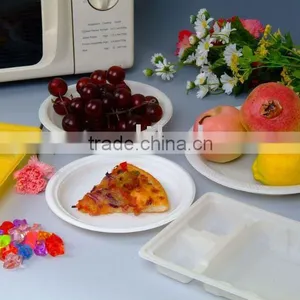 Biodegradable Dinner Plate thumbnail-1