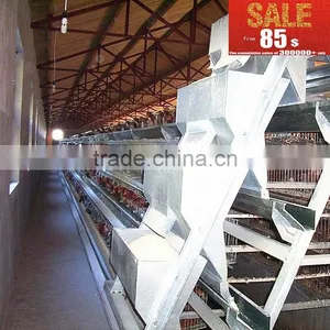 INNAER Factory Supply All Kinds Chicken Coops for Poultry Chicken Farm thumbnail-3