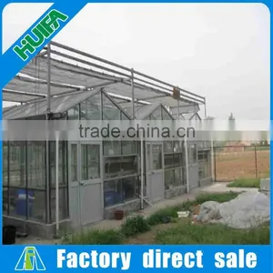 Steel Frame Material and Garden Greenhouses Type /sunroom Glass Houses thumbnail-3