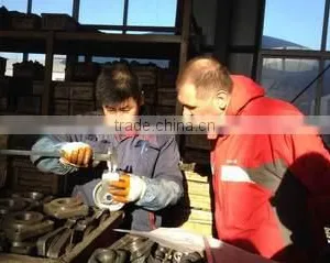 Shenyang New Densen Casting And Forging I & E Co., Ltd. company overview - view 3 thumbnail