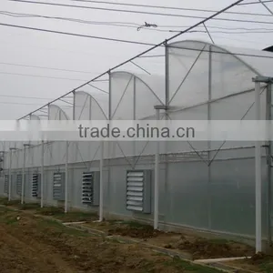 Victorian Greenhouse For Agricultural Vegetable Planting thumbnail-2