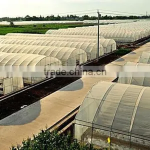 Factory Price Plastic Angricultural Greenhouses For Sale thumbnail-5