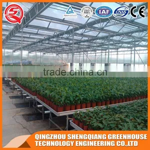 Vegetables Product Glass Greenhouse With Cooling System thumbnail-4
