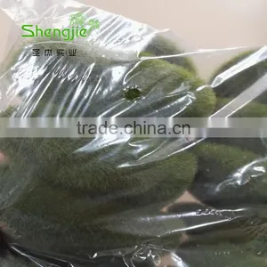 SJLJ013748 Cheap Artificial Stone Fake Plastic Stone With Moss thumbnail-5