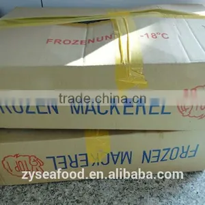2017 New Arrived Great Pacific Mackerel thumbnail-2