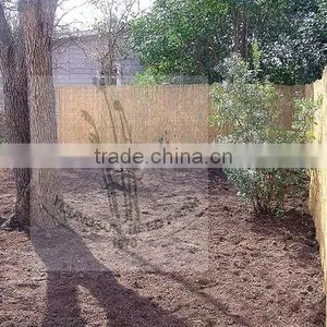 Reed Fence thumbnail-4