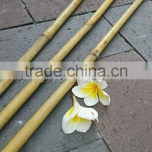 Thick Wall and Strong Tonkin Bamboo Canes for Supporting Plants at Cheap Price thumbnail-1
