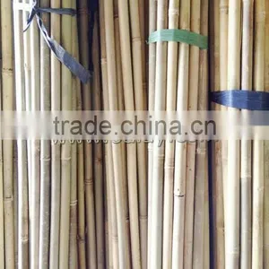 Natural Dry Bamboo Canes Poles Sticks for Gardening SUPPORTING thumbnail-1