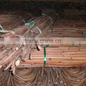 Water Rattan Cane thumbnail-1