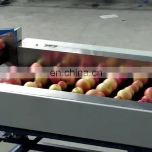 Efficient Vegetable and Fruit Sorting Machine/tomato Grader /orange Sorting Machine thumbnail-1
