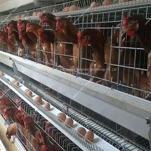 According To Customer Requires PP Glossy White Manure Belt thumbnail-3