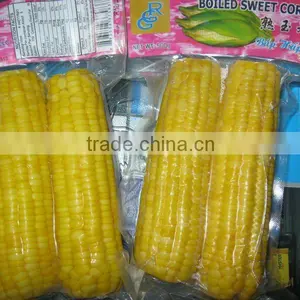 Best Quality Frozen White Sweet Corn From Vietnam thumbnail-4