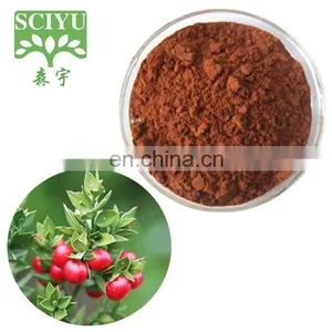 Butchers Broom Root Extract Powder Ruscus Aculeata Extract thumbnail-1