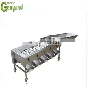 1T Grading Machine for Olives thumbnail-2