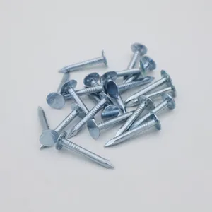 High-Strength Flat Head Roofing Nails 2 Inch 25kg Bulk for Industrial Use thumbnail-1