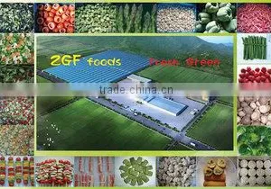 Hangzhou Zhonggefu Import And Export Co., Ltd. company overview - view 1 thumbnail