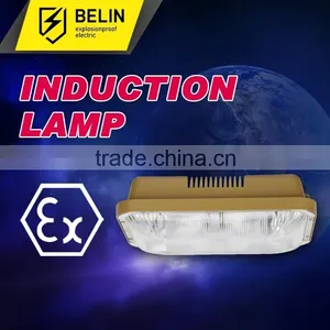 Longevity Dome Light thumbnail-1