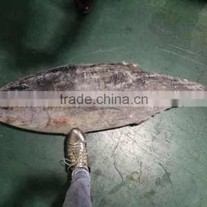 Frozen Yellowfin Tuna thumbnail-1