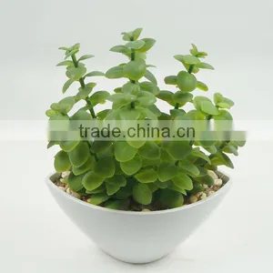 Artificial Potted Plant Artificial Plant Artificial Succulent Wholesale thumbnail-1