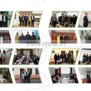 Long Lifespan Prefab House With Fashionable Designs,china Low Cost Prefab House/villa thumbnail-6